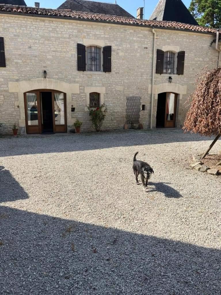 オジャック Les Cygnes Noirs Bed & Breakfast エクステリア 写真